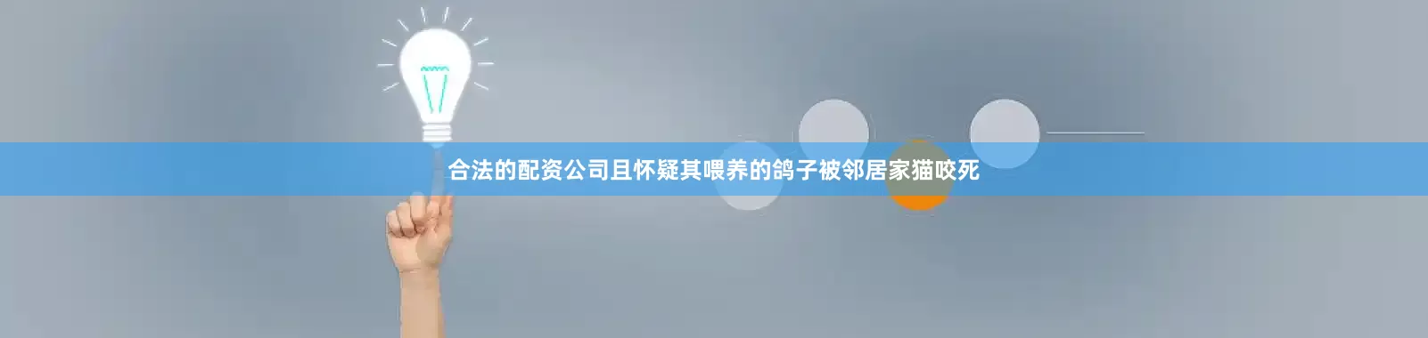 合法的配资公司且怀疑其喂养的鸽子被邻居家猫咬死